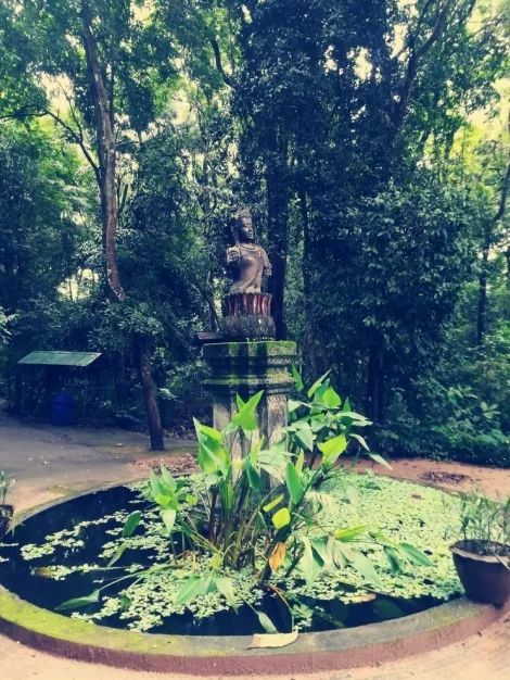 君行体验官专栏丨他在佛之国度,邂逅了一场浪漫