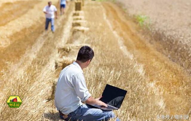 最有潜力的8大农村创业项目推荐,适合穷人的18个创业加盟项目农村