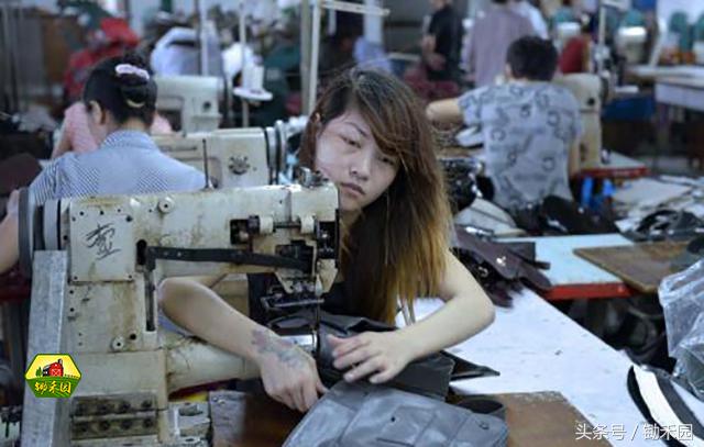 最有潜力的8大农村创业项目推荐,适合穷人的18个创业加盟项目农村