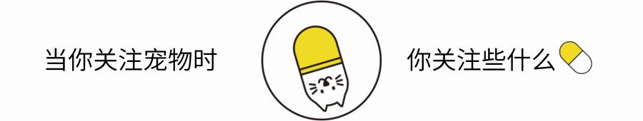 【V-case】猫反复性口炎病例