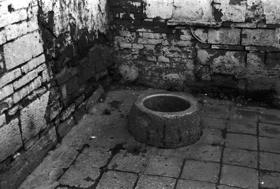 温暖的庇佑[文心-诗思-情怀]