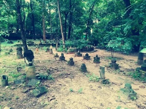 君行体验官专栏丨他在佛之国度,邂逅了一场浪漫