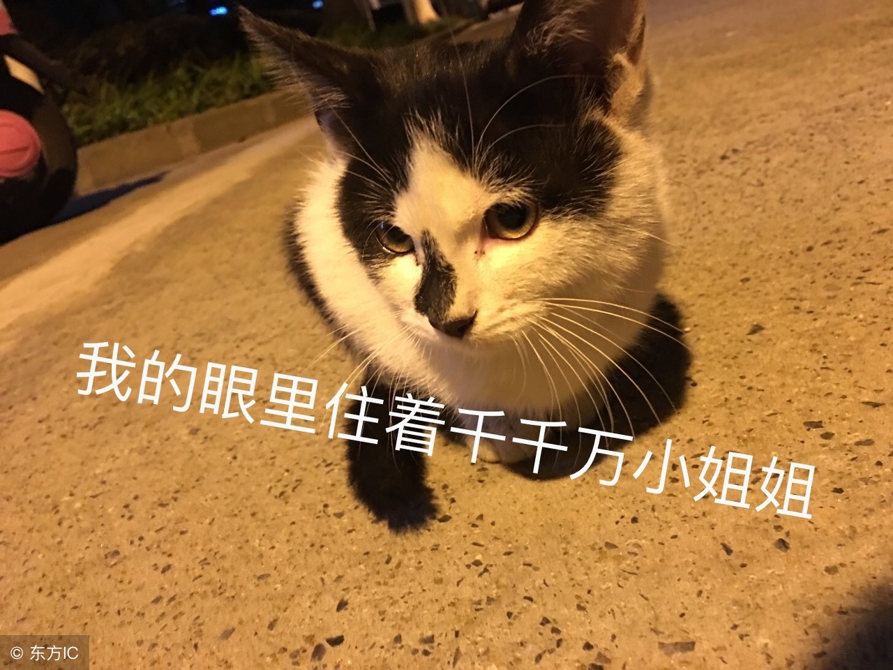 拼多多被吐槽“坑多多”，里面的套路你知道多少？