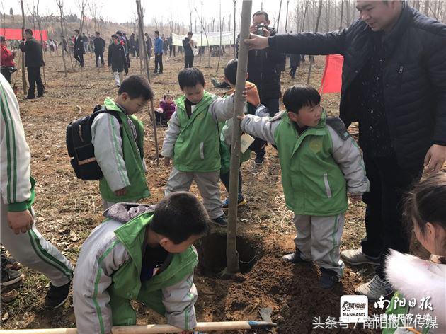 植树种草美化家园,植树美化家园