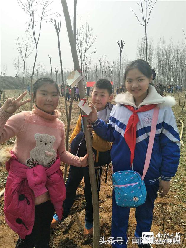 植树种草美化家园,植树美化家园