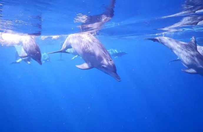 伊甸园免签景点在哪个城市,伊甸园免签的景点在哪里