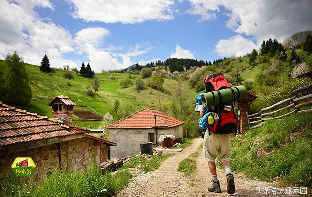 最有潜力的8大农村创业项目推荐,适合穷人的18个创业加盟项目农村