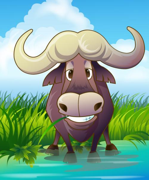 动物寓言故事视频完整版,动物寓言故事