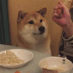 关于肥皂的简短搞笑段子,搞笑视频原来肥皂是这么难捡的