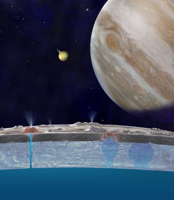 马斯克秒变戏精，Twitter勾搭特朗普，豪言2019年殖民火星