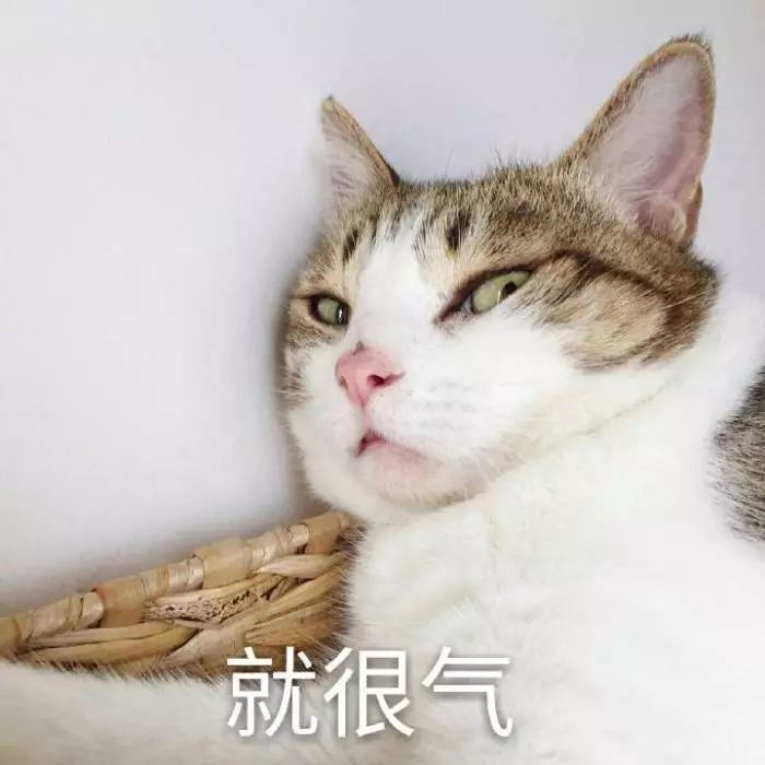 平价好物的化妆品,种草好物集中营