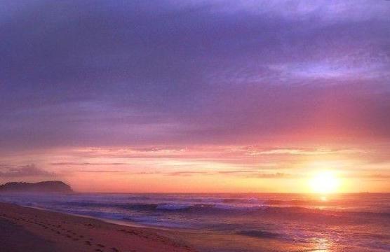 留学澳大利亚需要什么条件,留学澳大利亚选什么专业