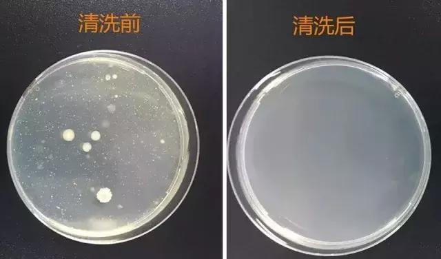 粉扑怎么消除细菌,清洗粉扑细菌
