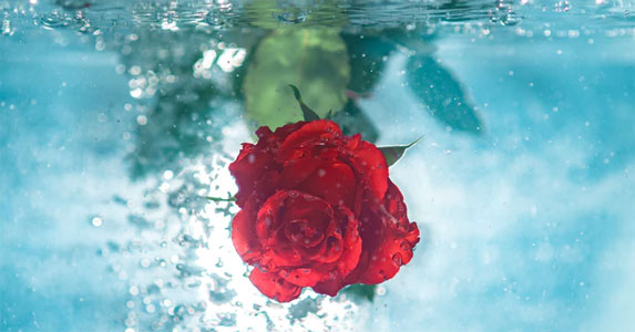 倒追小狼狗小说,倒追男同事