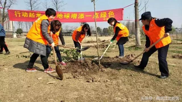 种下一粒种子守护一片绿色,种下一棵树守护一片绿