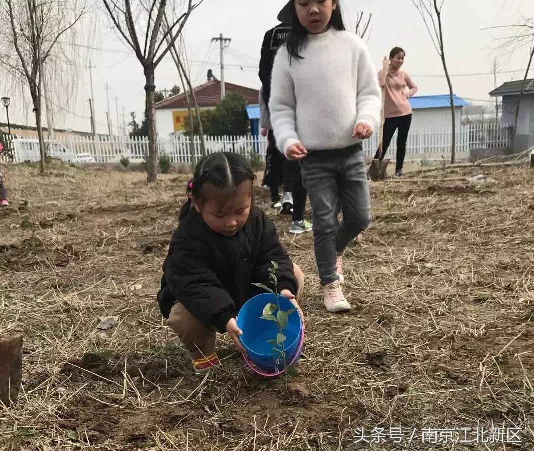 种下一粒种子守护一片绿色,种下一棵树守护一片绿