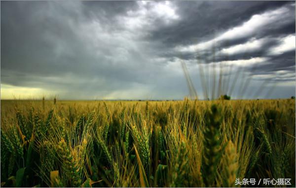 相机点测光的拍摄技巧,户外拍摄如何正确使用点测光