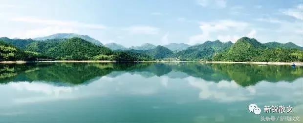 美丽的遇见作文600字,美丽的遇见原唱