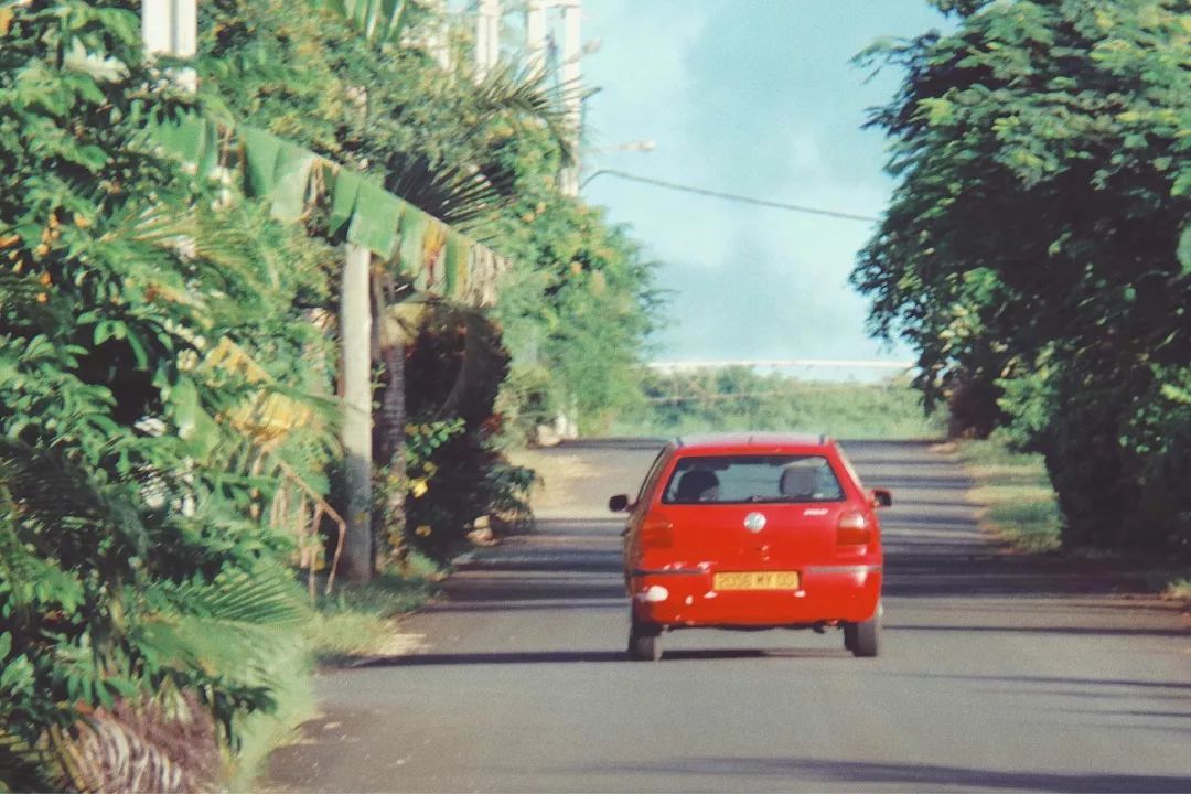 伊甸园免签景点在哪个城市,伊甸园免签的景点在哪里