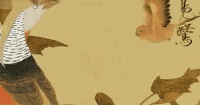 教你一步一步勾勒白描菊花,国画菊花勾线白描怎么画