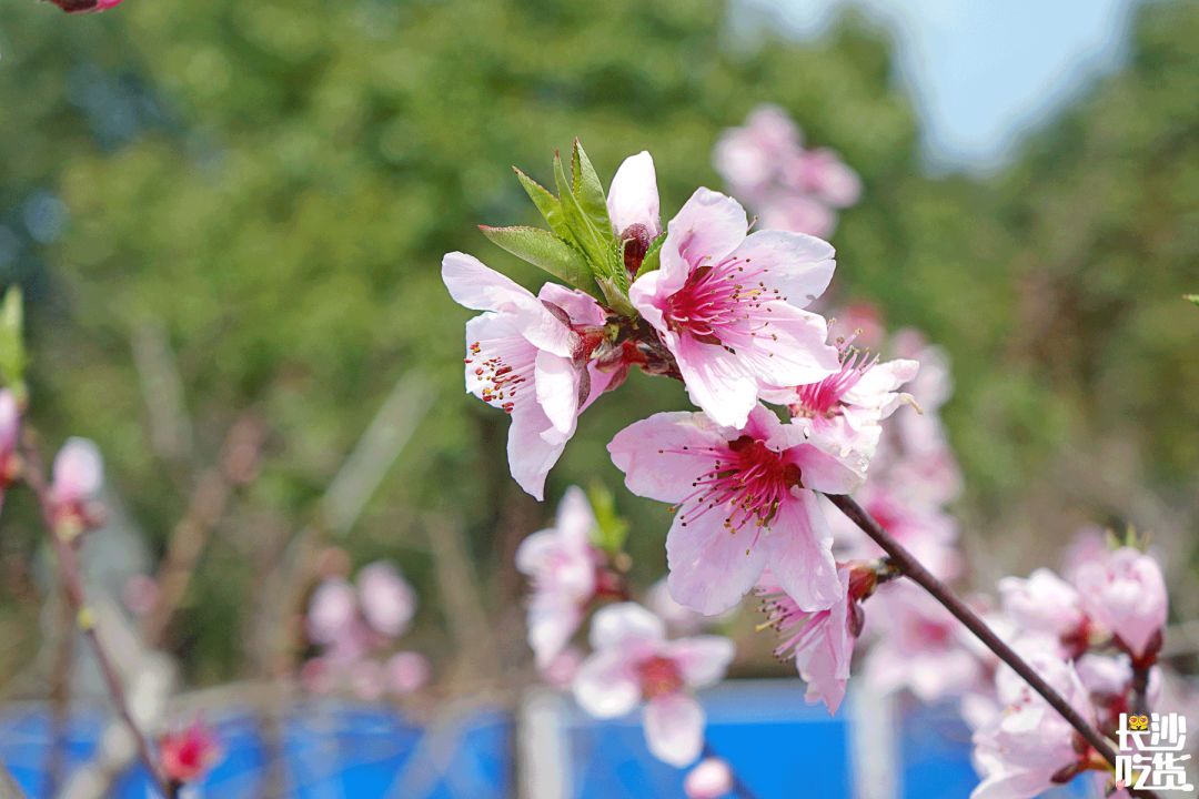湖南信息学院为什么不出名,湖南信息学院水平怎么样