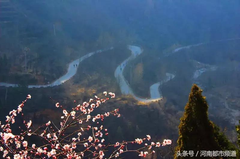 河南最美桃花海,浪漫西藏林芝桃花有多惊艳