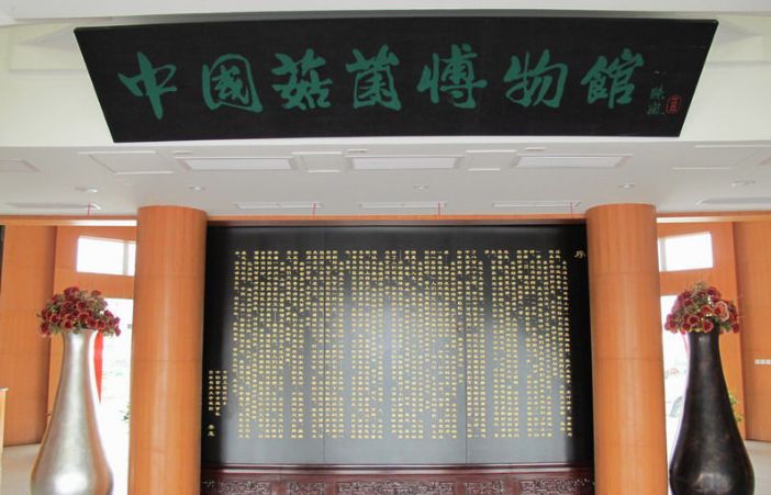 上海残疾人免费景点一览表,上海景区免费景点