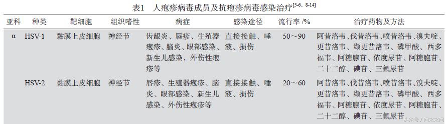 hsv病毒和疱疹的区别是什么,单纯疱疹病毒hsv1是什么