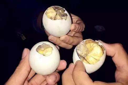 巴拉望科隆岛旅行,旅游菲律宾值得去的岛屿