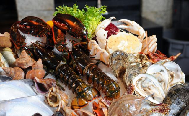 伊甸园免签景点在哪个城市,伊甸园免签的景点在哪里