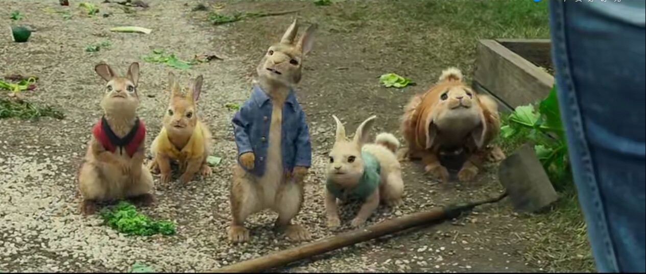 彼得兔值得看吗,彼得兔和狼行者哪个好看