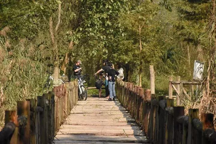 成都市赏花一日游,成都附近赏花一日游推荐表