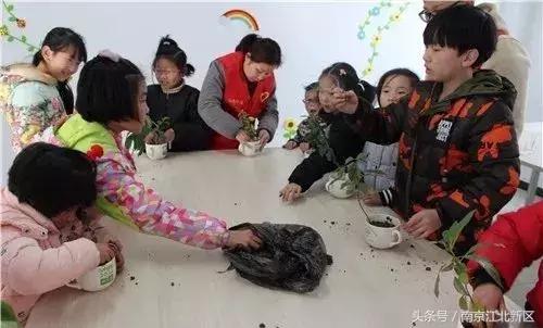 种下一粒种子守护一片绿色,种下一棵树守护一片绿