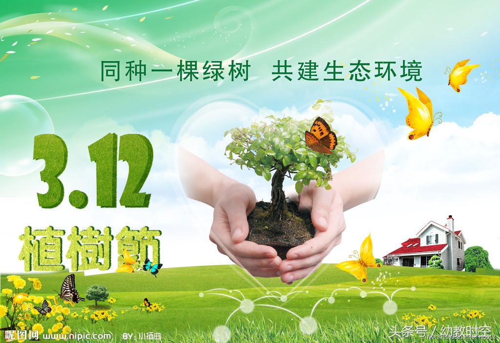 幼儿园园长植树节活动方案,幼儿园植树活动策划案