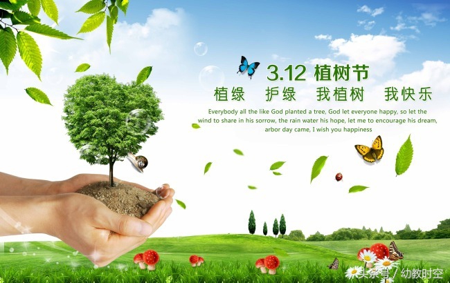 幼儿园园长植树节活动方案,幼儿园植树活动策划案