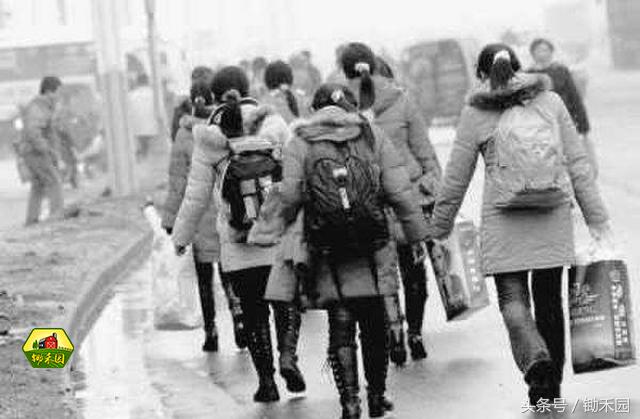 最有潜力的8大农村创业项目推荐,适合穷人的18个创业加盟项目农村