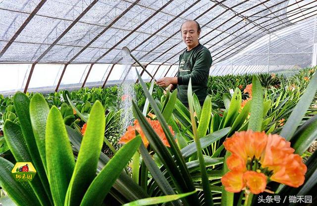 最有潜力的8大农村创业项目推荐,适合穷人的18个创业加盟项目农村