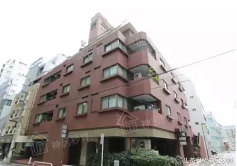 3月东京樱花,东京买房最新信息