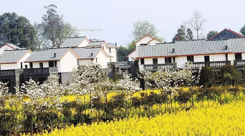 成都市赏花一日游,成都附近赏花一日游推荐表