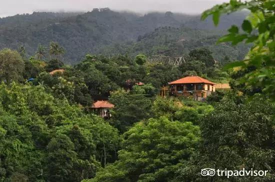 猫头鹰酒店排名,猫头鹰十大排名