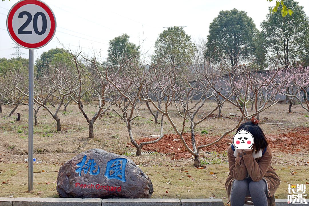 湖南信息学院为什么不出名,湖南信息学院水平怎么样