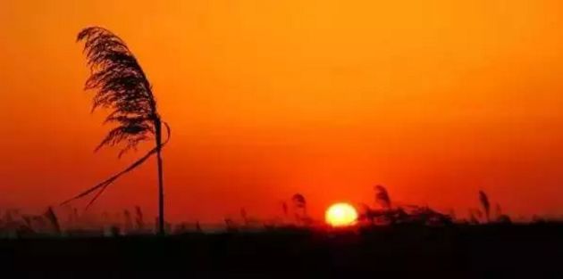 上海残疾人免费景点一览表,上海景区免费景点