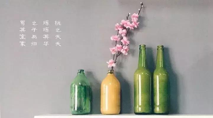 旧瓶子再利用小窍门,旧瓶子利用养花