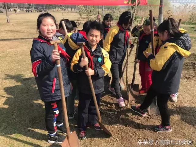 种下一粒种子守护一片绿色,种下一棵树守护一片绿