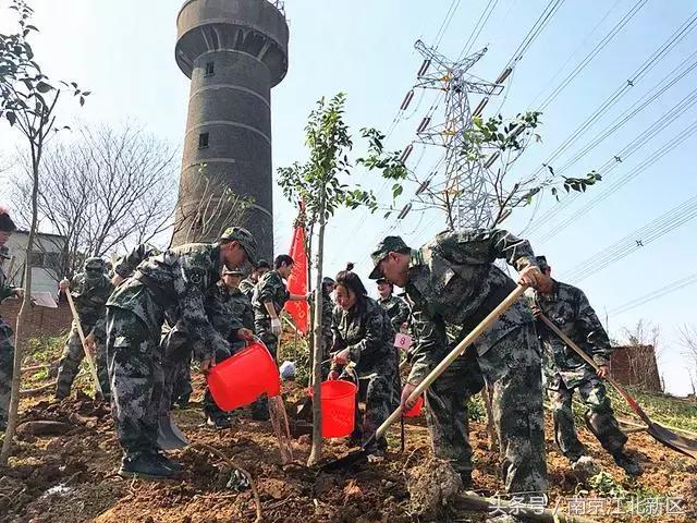 种下一粒种子守护一片绿色,种下一棵树守护一片绿