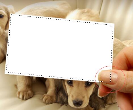 用蒙版和画笔打造人物半素描效果,滤镜让色彩画变好看