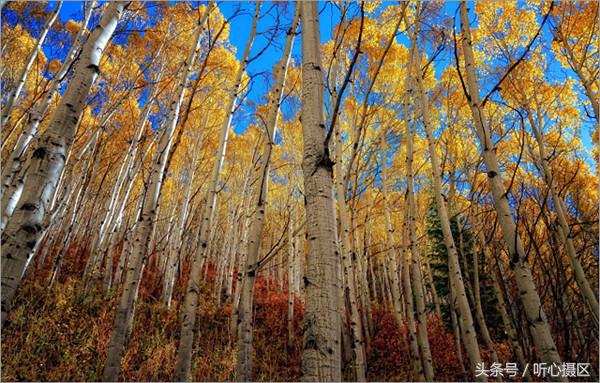 相机点测光的拍摄技巧,户外拍摄如何正确使用点测光
