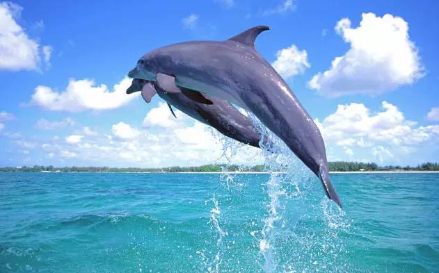 伊甸园免签景点在哪个城市,伊甸园免签的景点在哪里