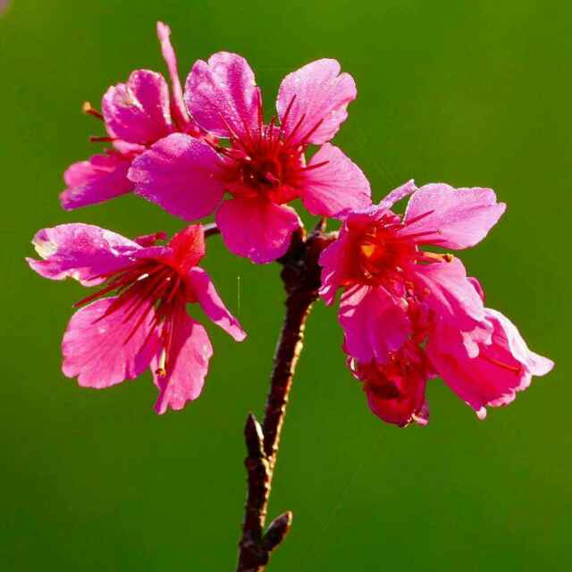 适合书法创作的五言诗句,最适合书法创作的36首诗词