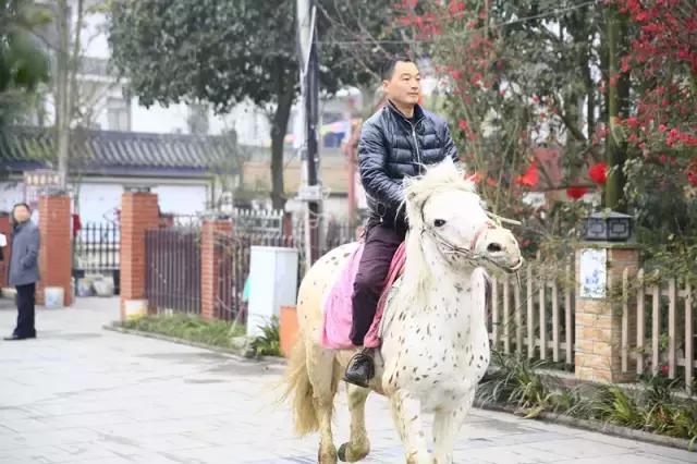 成都市赏花一日游,成都附近赏花一日游推荐表